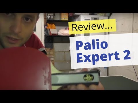 Review: Palio Expert 2 table tennis bat