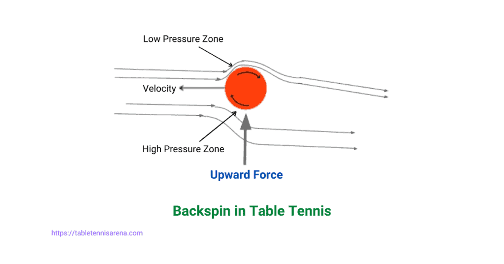 Concept of the formation of backspin in table tennis