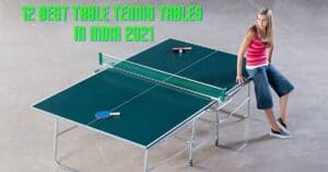 Best table tennis table in India