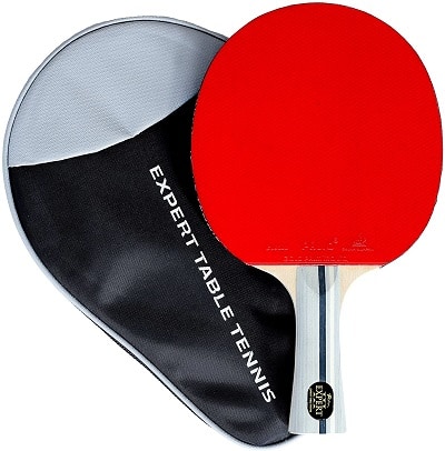Palio expert 3.0 table tennis racket