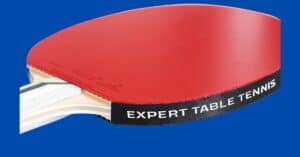 Palio expert 3.0 review