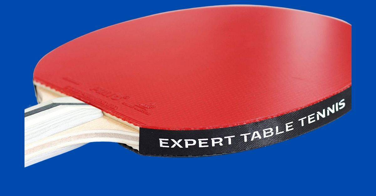 Palio Expert 3.0 Tischtennisschläger und Tasche 