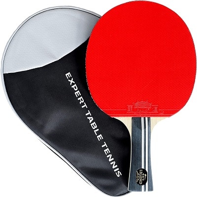 Palio legend 3.0 table tennis racket
