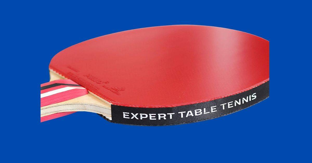 Palio Master 3.0 Table Tennis Racket Review TABLE TENNIS ARENA