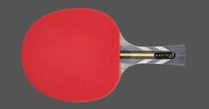 Stiga raptor table tennis racket review