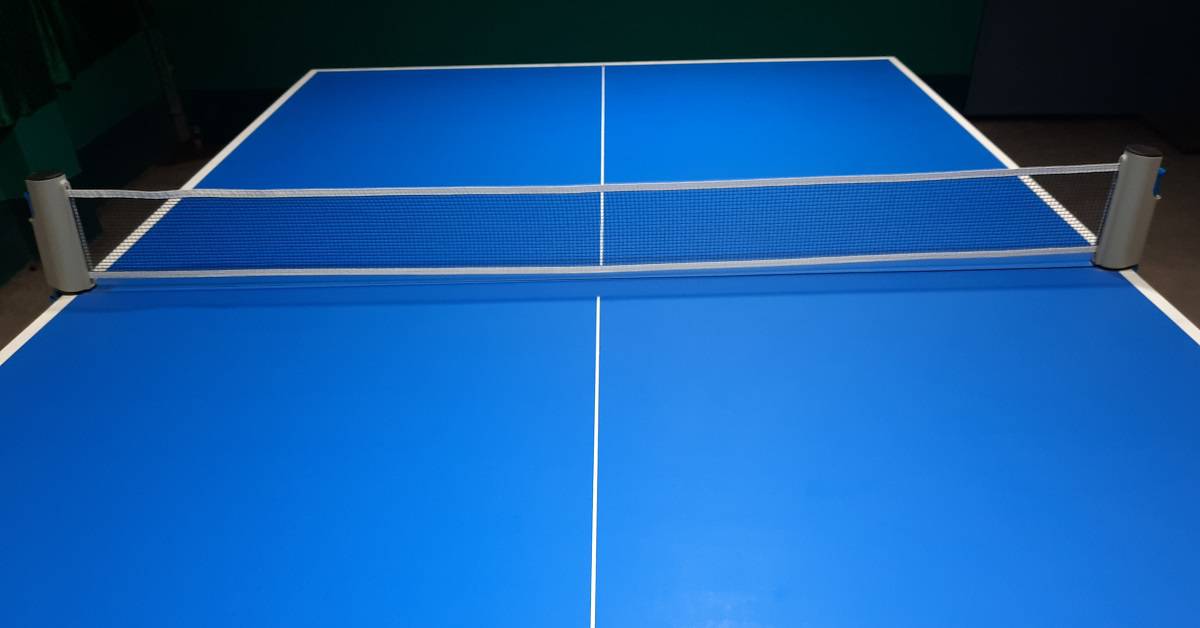 Top 5 Best Retractable Ping Pong Net Reviews TABLE TENNIS ARENA