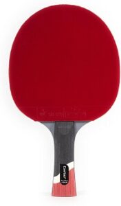 Stiga pro carbon ping pong paddle