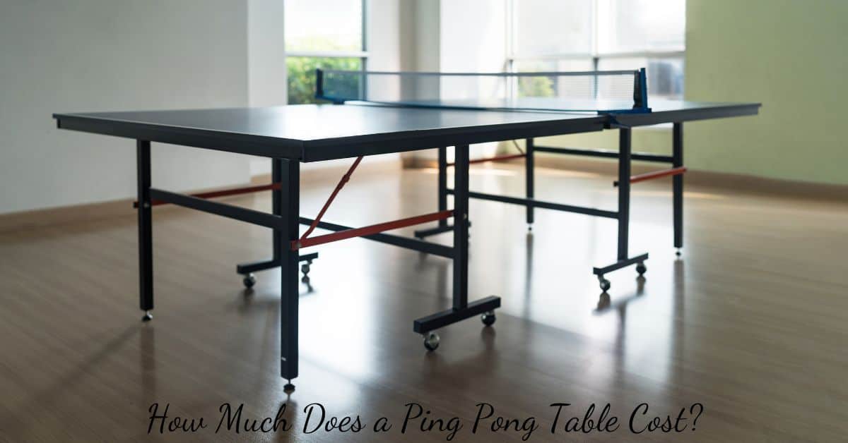 How Much Does a Ping Pong Table Cost? TABLE TENNIS ARENA