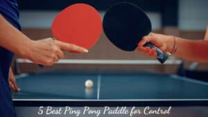 5 best ping pong-paddle for control reviews