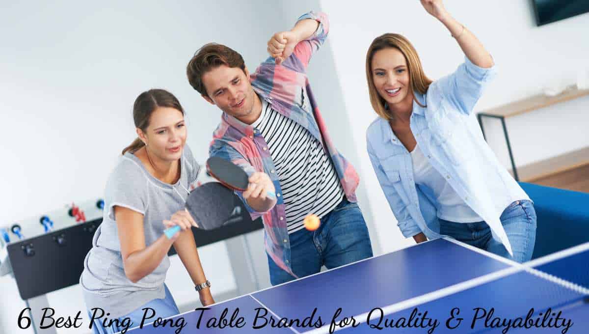 6 Best Ping Pong Table Brands for Quality & Playability TABLE TENNIS
