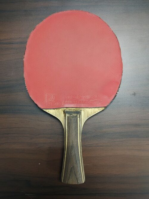 Top 10 Best Backhand Table Tennis Rubbers in 2025 - TABLE TENNIS ARENA