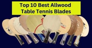 10 best all-wood table tennis blades reviewed