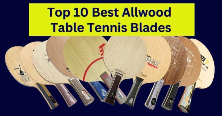 10 best all-wood table tennis blades reviewed